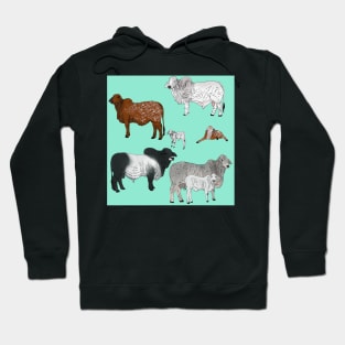 Brahman Cattle Seafoam Hoodie